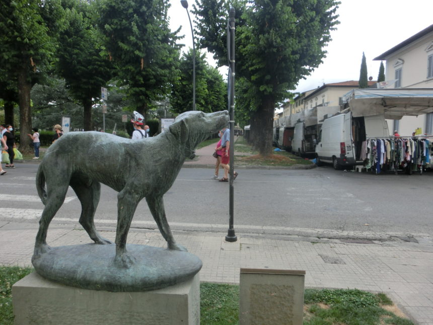 イタリア版ハチ公 忠犬フィードの物語 トスカーナ自由自在