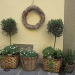 店構えもかわいい